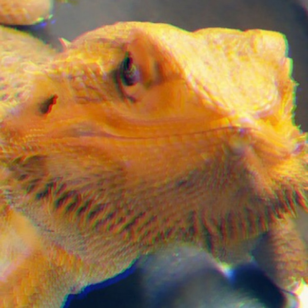 Meet your Posher, Tabitha